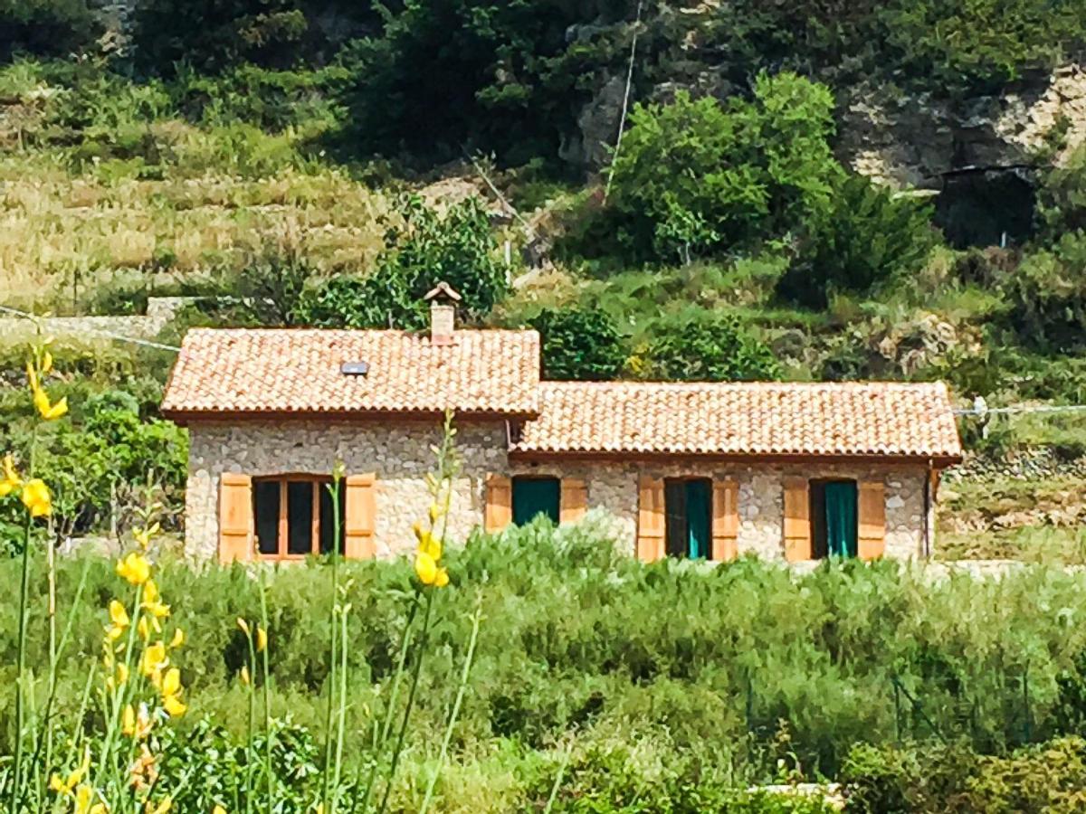 Cozy Private Bedroom With Sea View Camporosso  Esterno foto